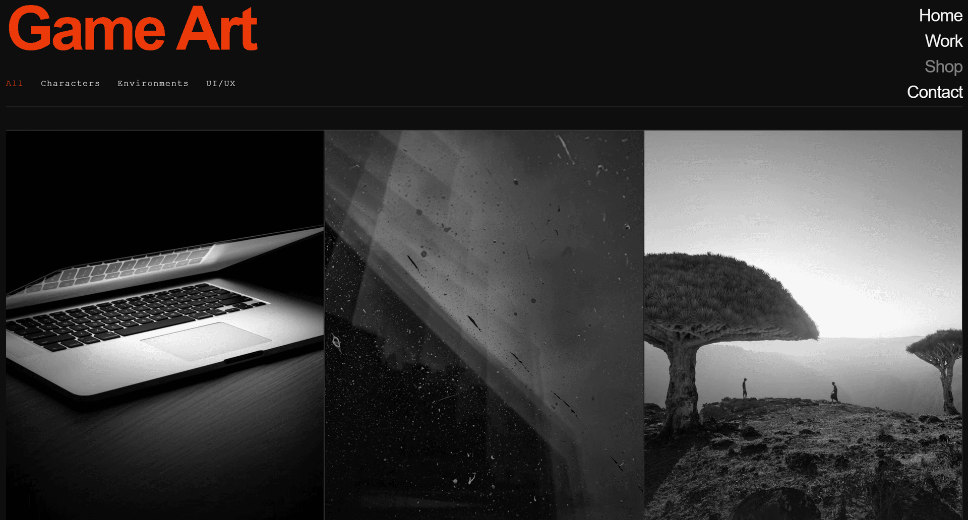 Illustrator Portfolio